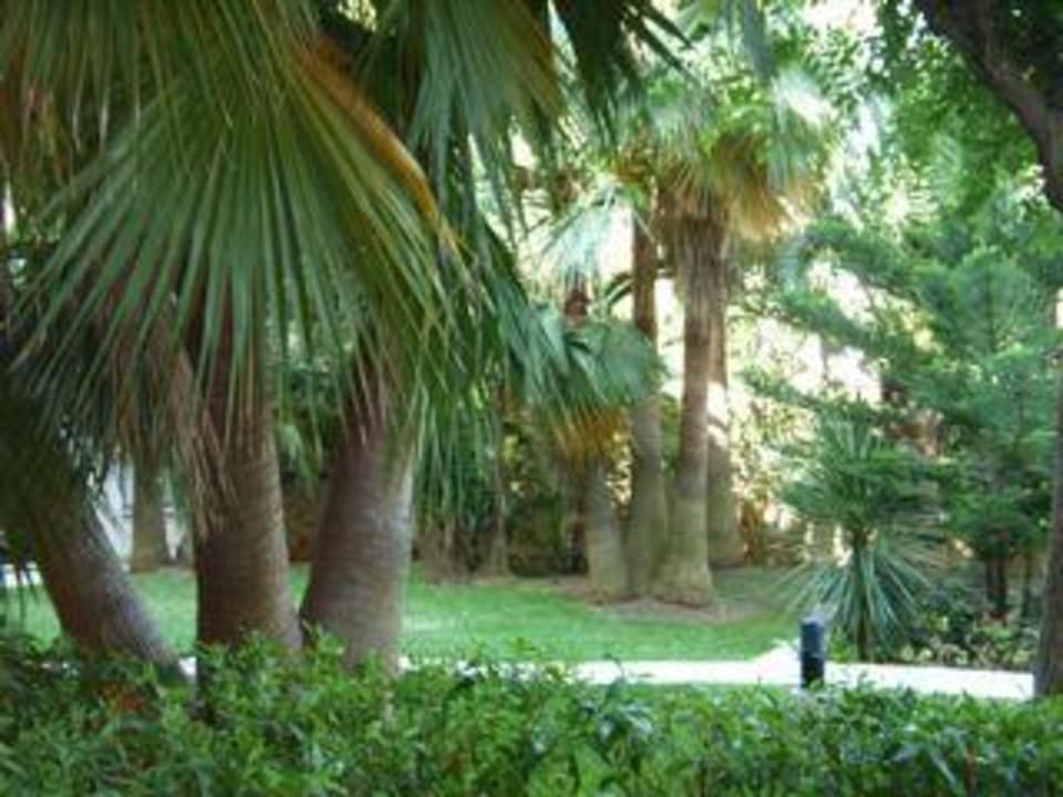 Blick auf den Hinterhof Valentin Somni Hotel & Suites