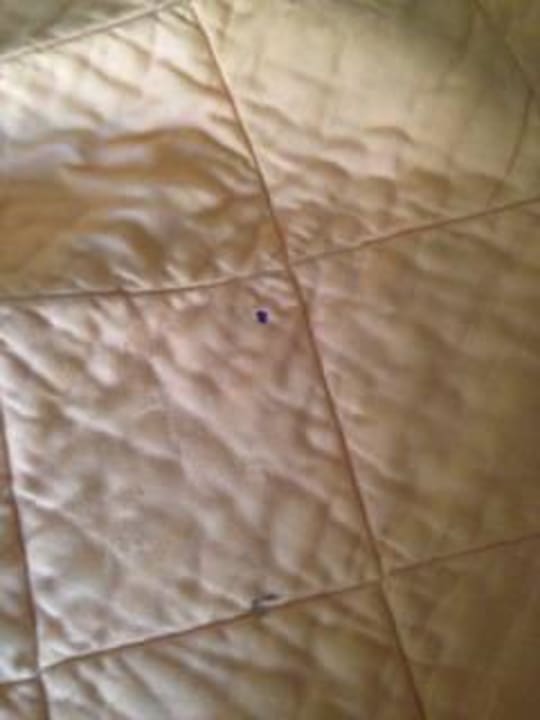 Bettdecke Hostel Budget Inn Hollywood