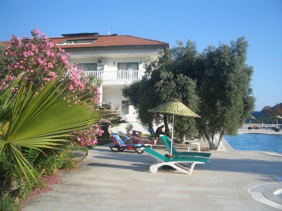 Blick auf Hotel und Pool Hotel Falcon Crest