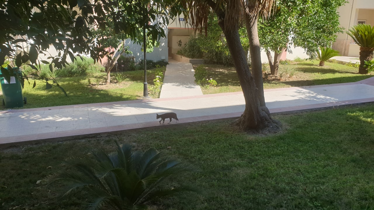 Gartenanlage Hotel Sirma