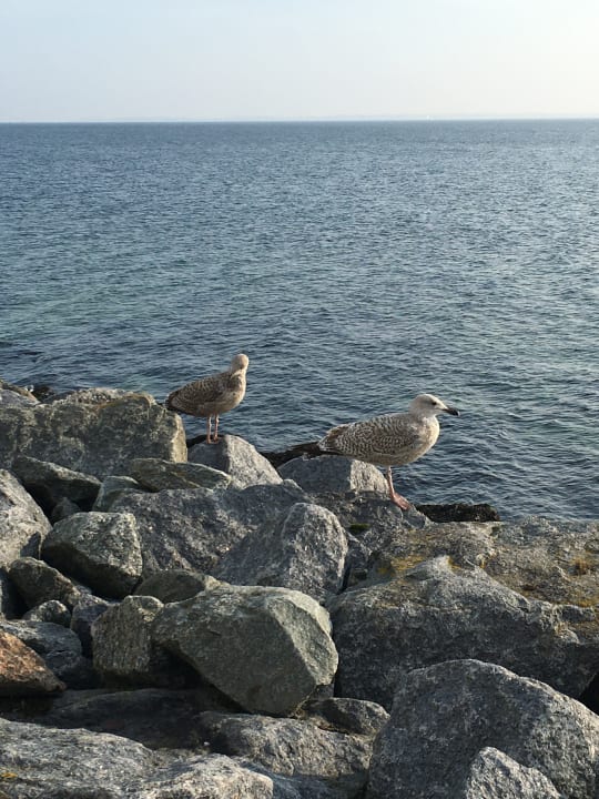 Ausblick BEECH Resort Boltenhagen