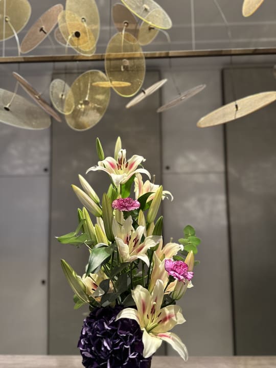 Lobby Classik Hotel Alexander Plaza