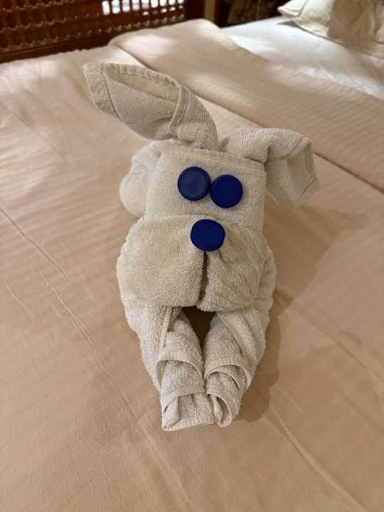 Zimmer Grand Waterworld Makadi & Family Star Makadi