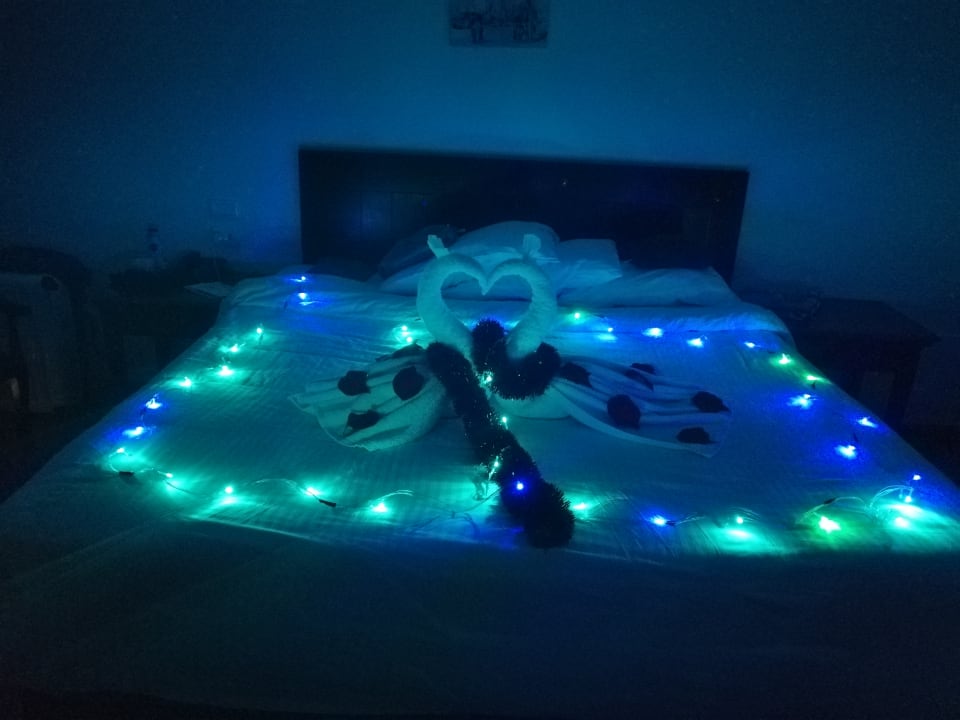 Zimmer Three Corners Sea Beach Resort