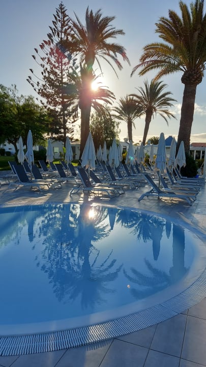 Pool Canary Garden Club