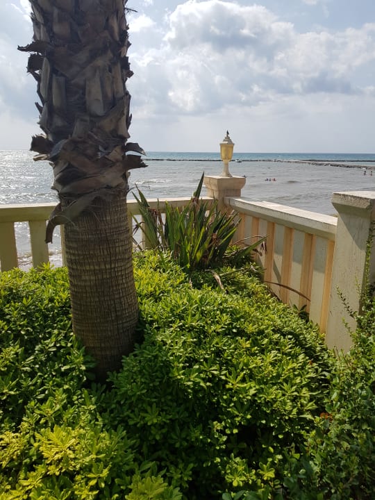 Ausblick Eftalia Marin