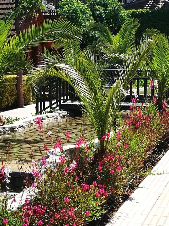 Gartenanlage Can Garden Beach