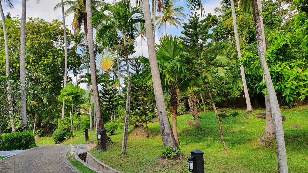 Gartenanlage Sheraton Samui Resort