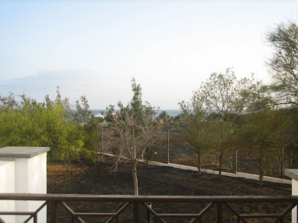 Blick von Balkon allsun App.-Hotel Albatros