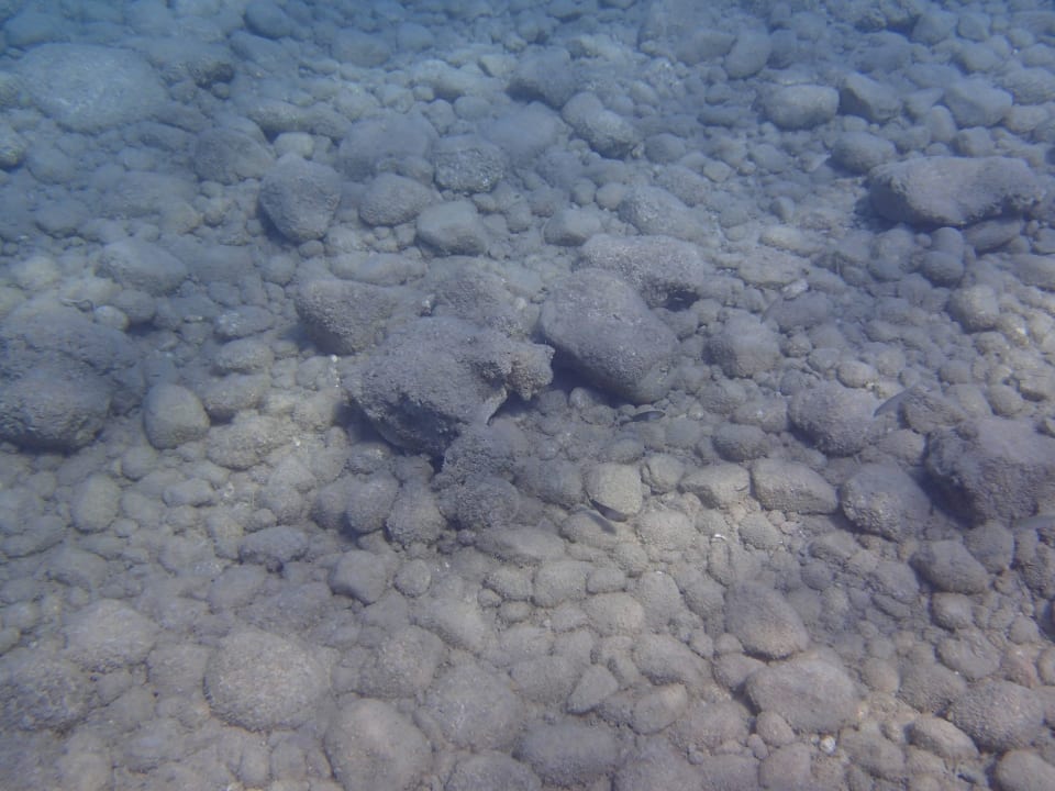 Unterwasser Atlantica Plimmiri