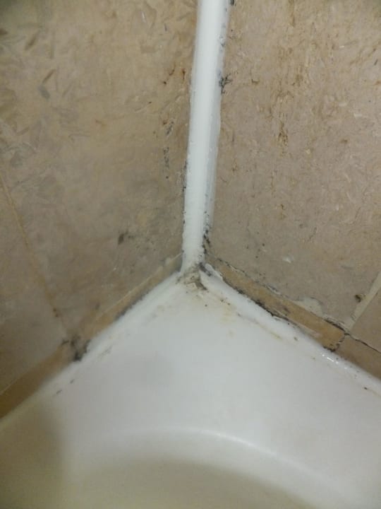 Schimmel Hotel El Mouradi Djerba Menzel