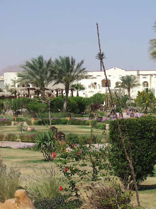 Nice scenery in hotel grounds Regency Plaza Aqua Park & Spa