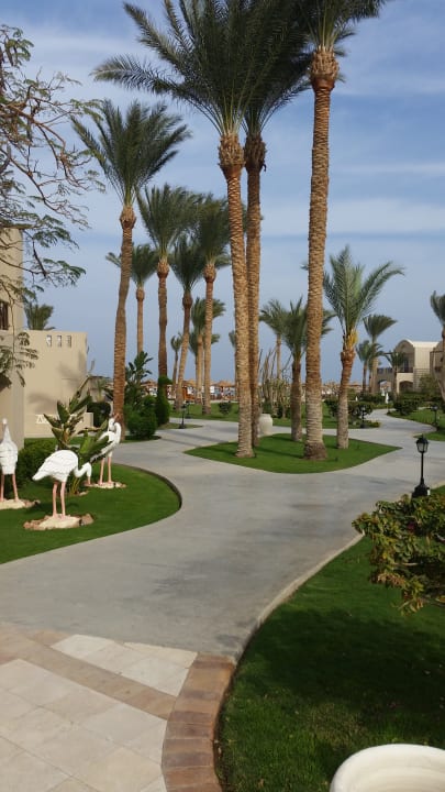 Gartenanlage Iberotel Makadi Beach