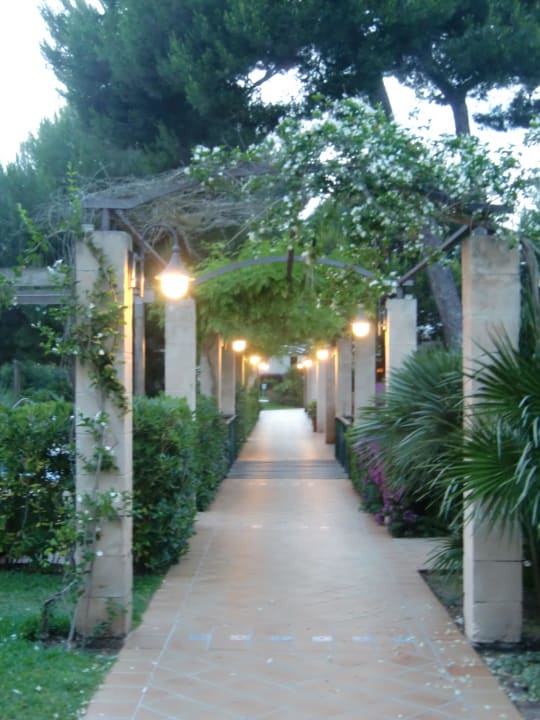 Abends Zafiro Mallorca