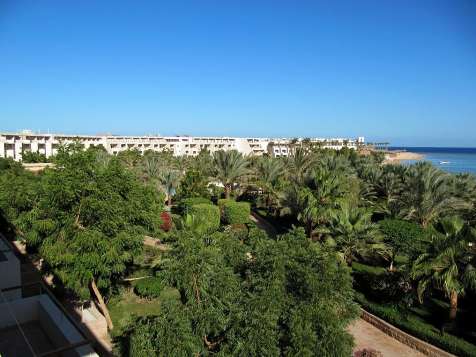 Ein Palmenmeer Fort Arabesque Resort, Spa & Villas