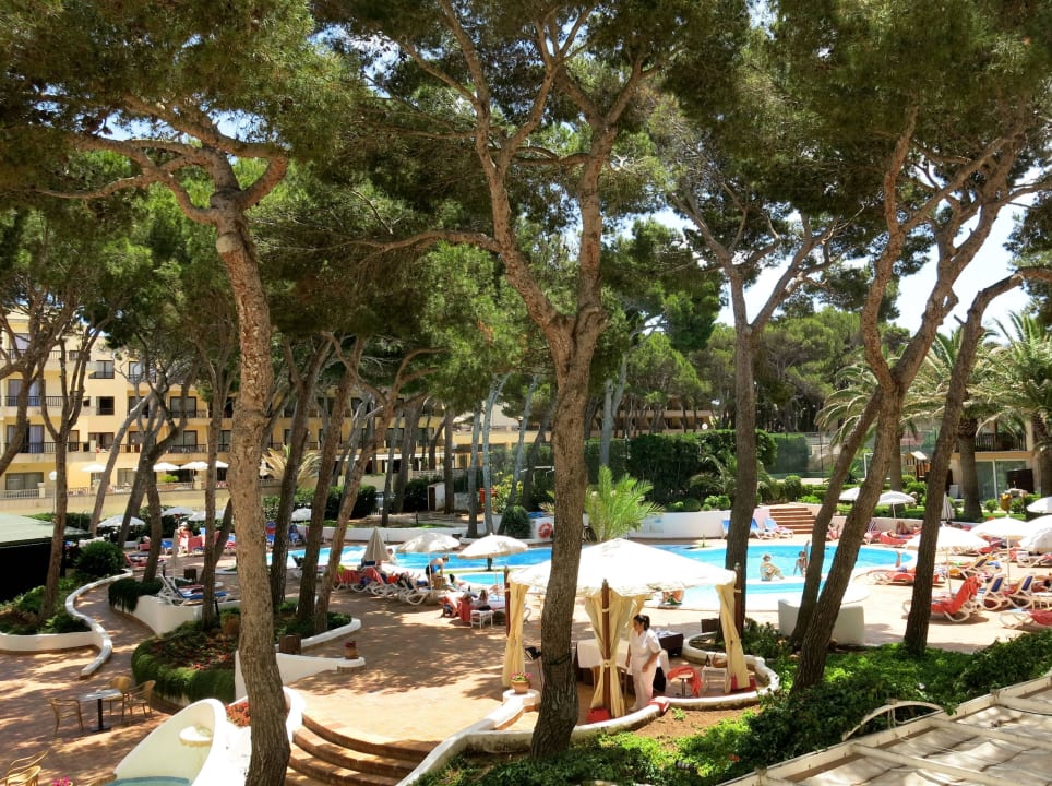 Pool mit Garten Hotel & Spa S'Entrador Playa