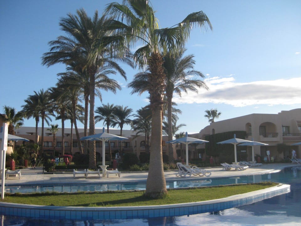 Ein kleiner Teil der grossen Poolanlage Ali Baba Palace Resort