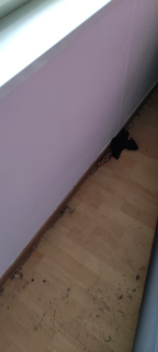 Zimmer alpha - spot Vöhringen