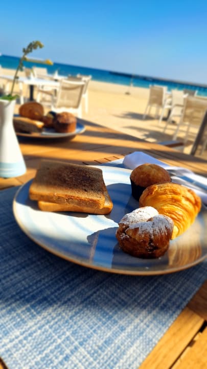 Gastro JAZ Elite Amara