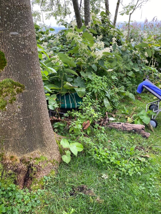 Gartenanlage Hotel Bellevue am See