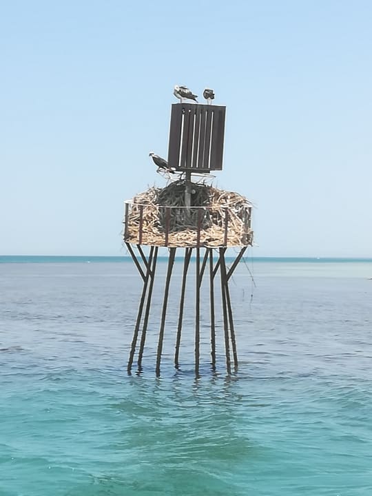 Ausblick Hotel Three Corners Ocean View prestige - Adults only