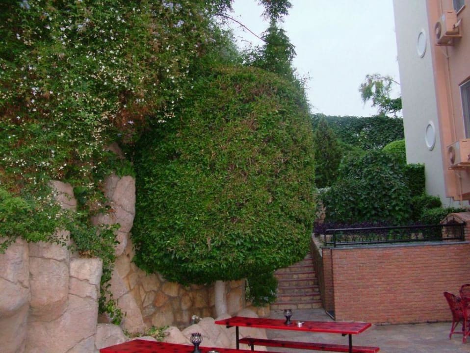 Obok Hotel Club Paradiso