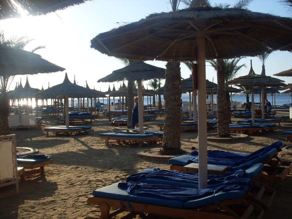 Раннее утро Beach Albatros Resort