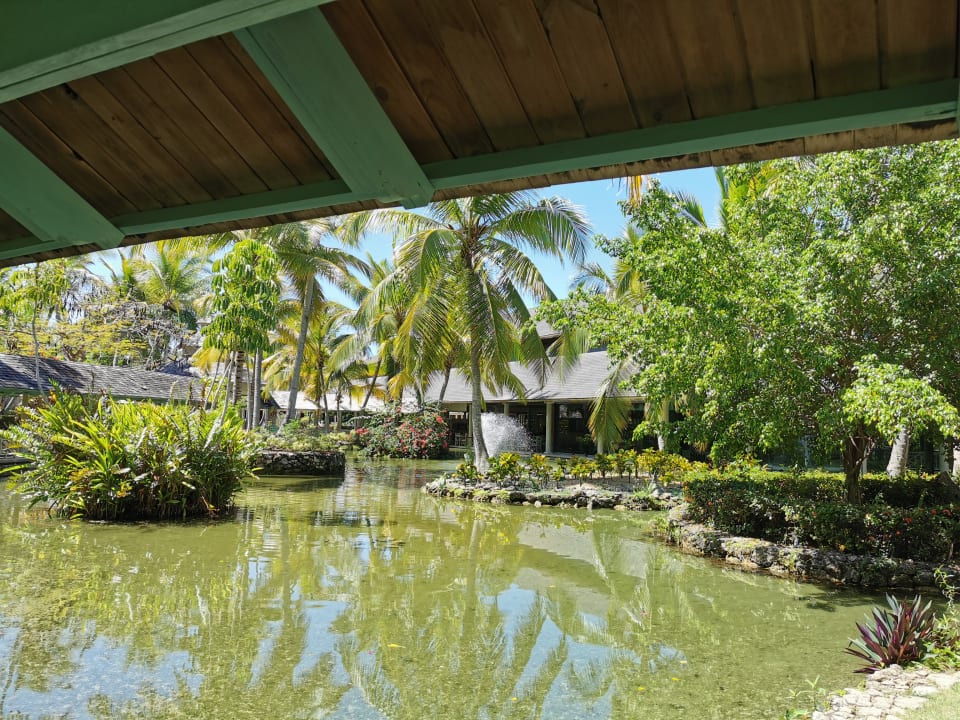 Ausblick Iberostar Selection Coral Bávaro