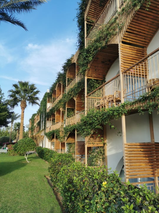 Außenansicht Desert Rose