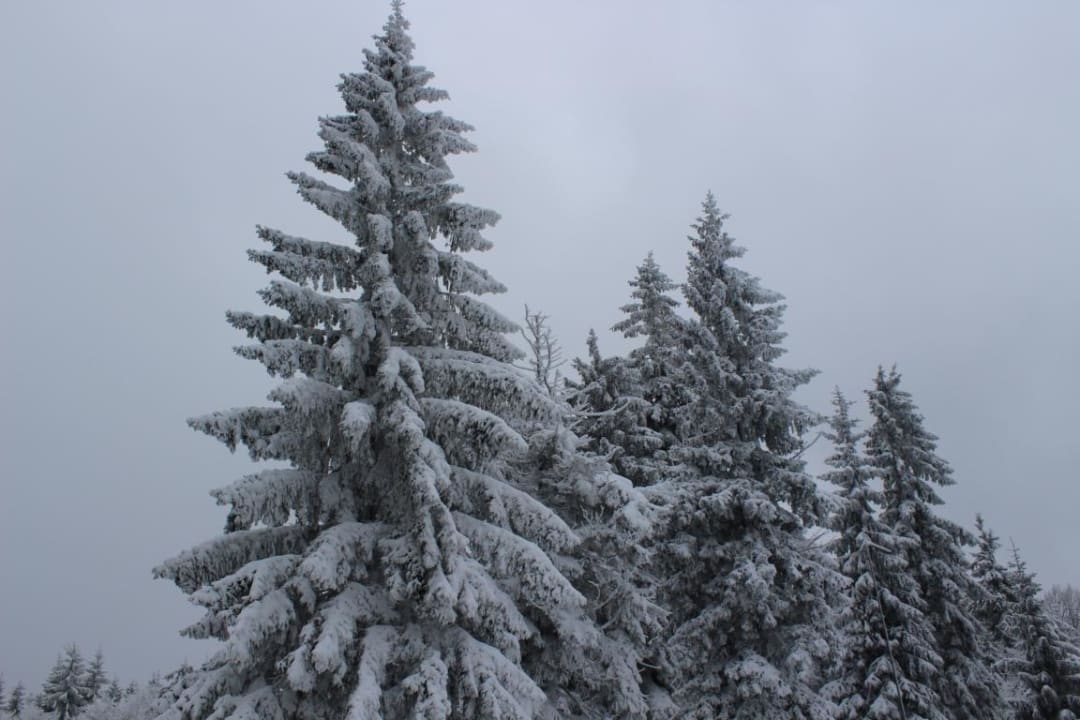 Ausblick Gästehaus Haibach