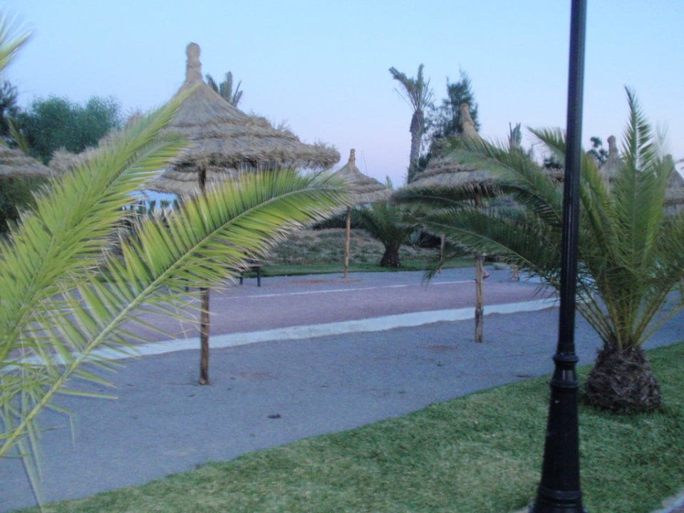 Spportfeld Occidental Marco Polo