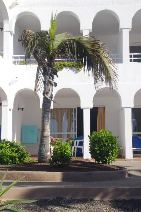 Sotavento Beach Club Sotavento Beach Club