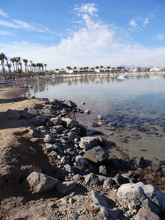 Strand Pickalbatros Alf Leila Wa Leila Resort - Neverland Hurghada