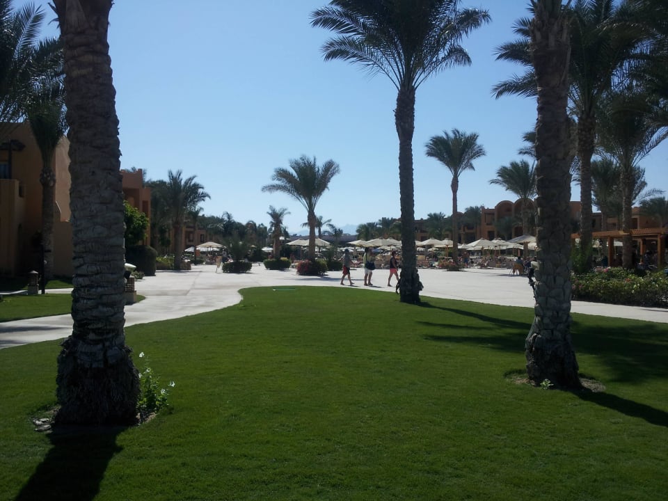 Stella Makadi Beach RIchtung Strand Stella Garden Resort & Spa, Makadi Bay