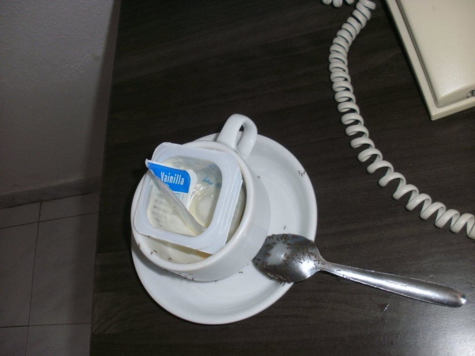 "Unsere" Ameisen! SBH Hotel Taro Beach