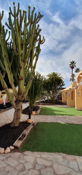 Gartenanlage H10 Playa Esmeralda - Adults only