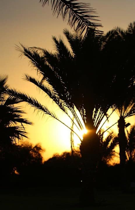 Gartenanlage Iberostar Selection Royal El Mansour