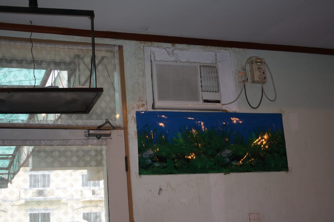 Blick an die Wand Hotel Treasure