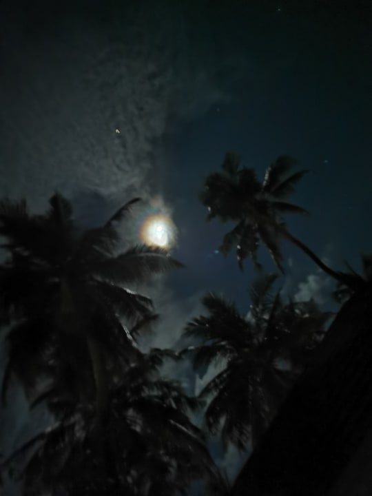 Ausblick Ellaidhoo Maldives by Cinnamon