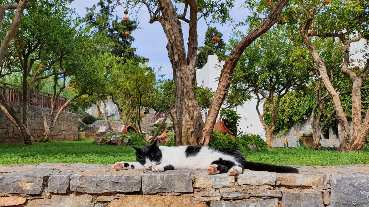 Außenansicht Creta Maris Resort