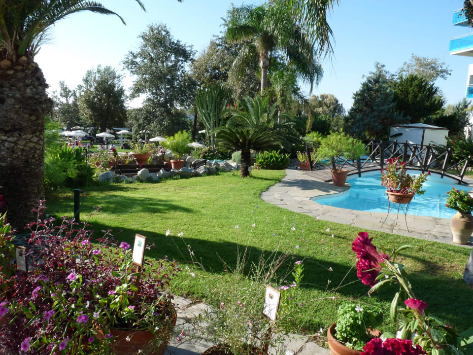 Garten Hotel Calypso Beach