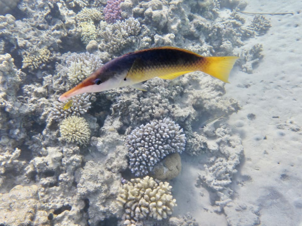 Sport & Freizeit Hotel Kempinski Soma Bay