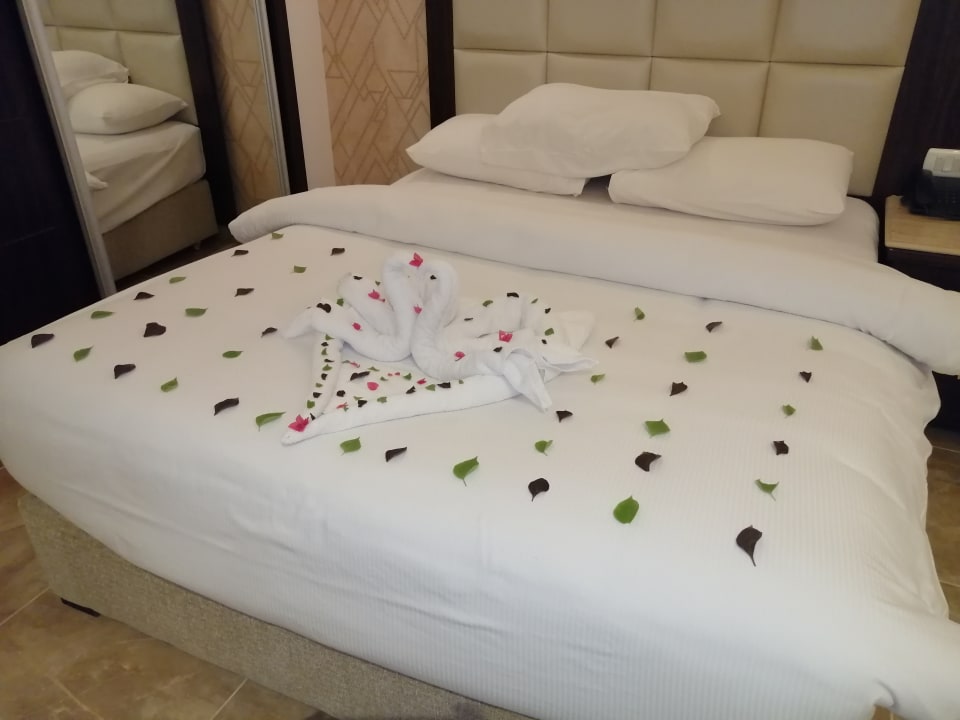 Zimmer Pickalbatros Aqua Blu Resort - Sharm El Sheikh