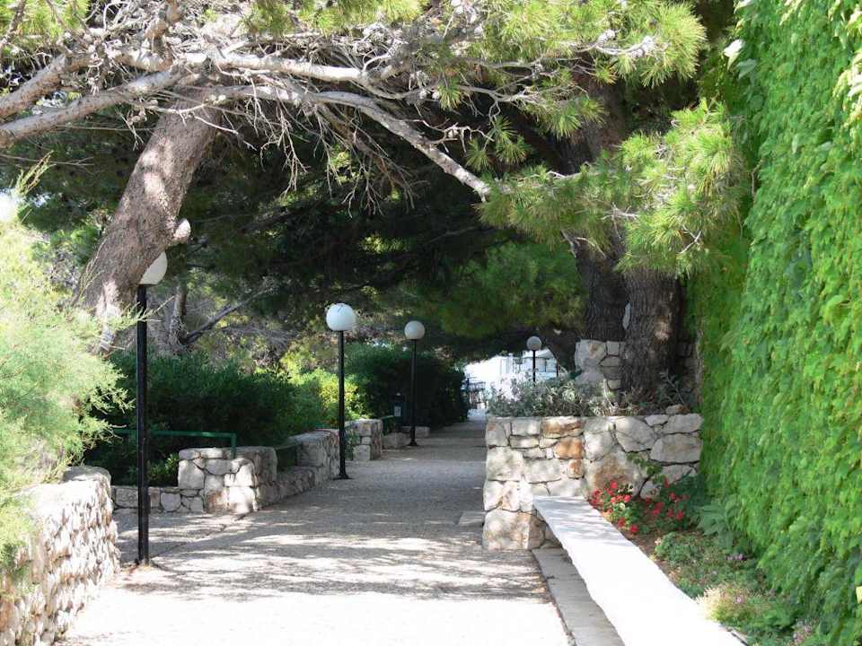 Chemin de l'hôtel Hotel Punta