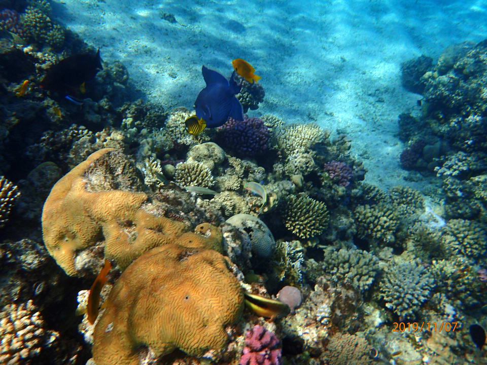 Sport & Freizeit Premier Le Reve Hotel & Spa