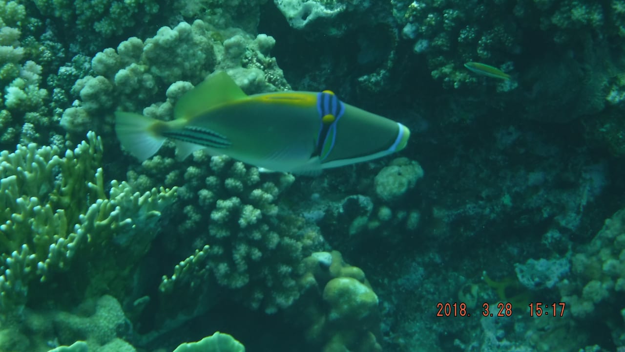 Strand Serenity Alpha Beach