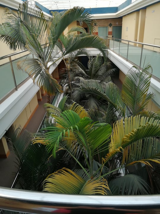 Ausblick IFA Altamarena by Lopesan Hotels