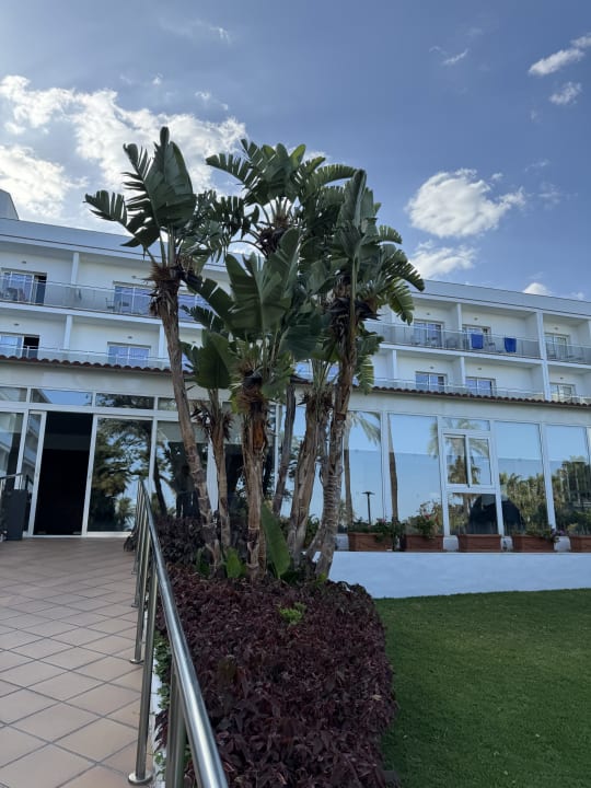 Lobby Hotel Best Siroco