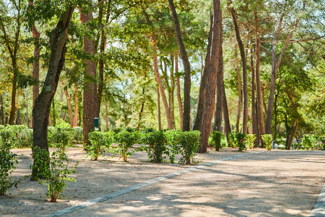 Gartenanlage Camping Stella Maris Umag