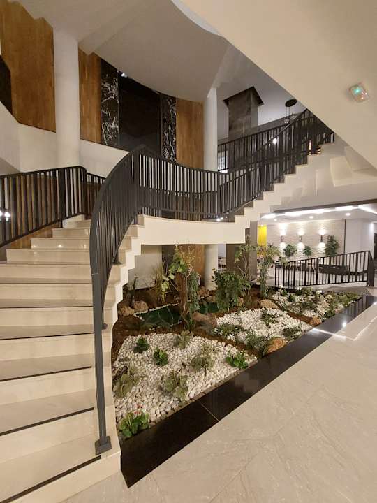 Sonstiges Seashell Vega